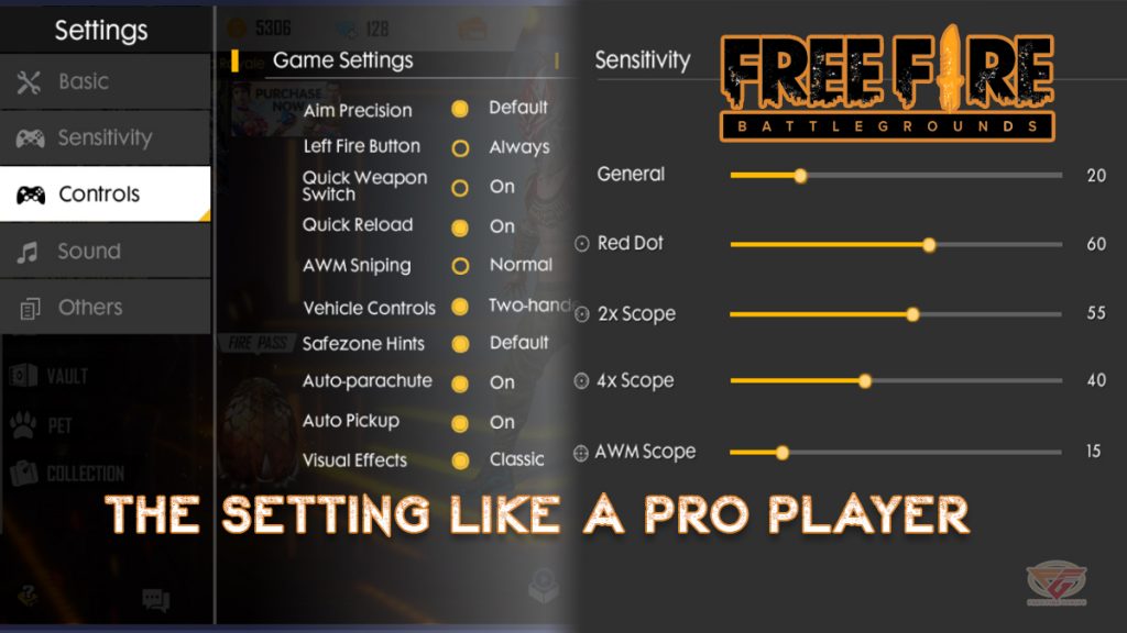 proplayer settings